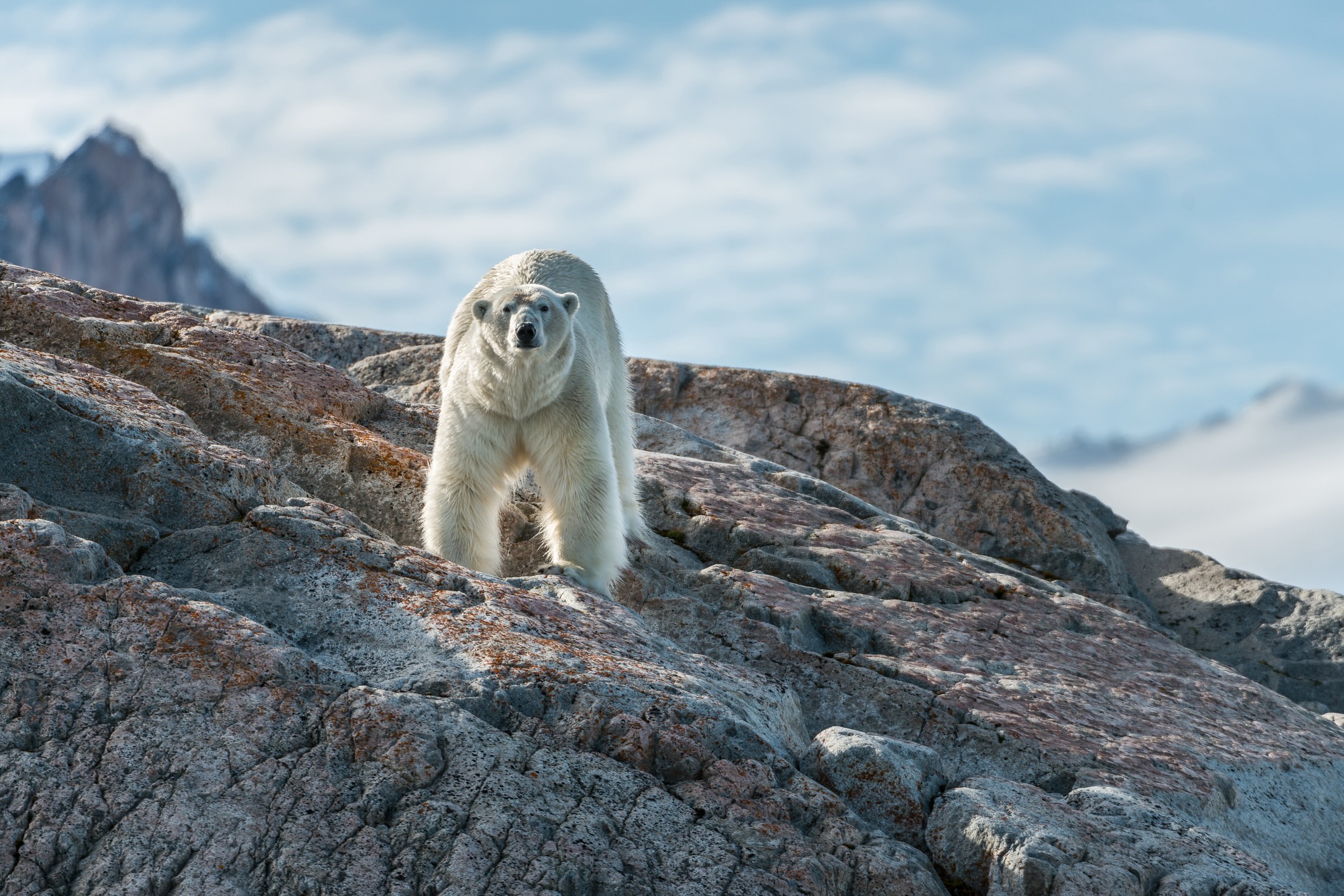 Voyage sur mesure au Svalbard avec Continents Insolites