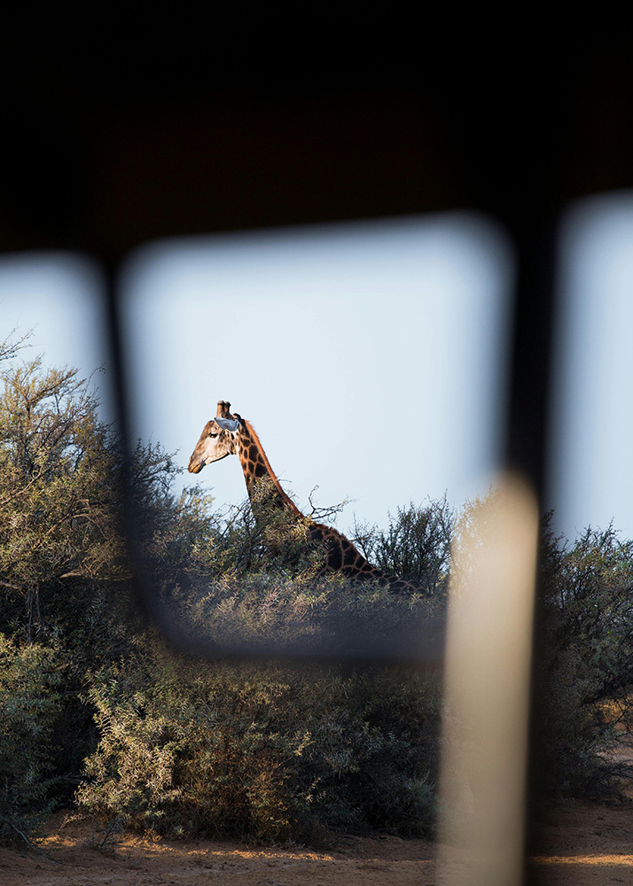 Safari en Tanzanie : les sites et parcs nationaux incontournables