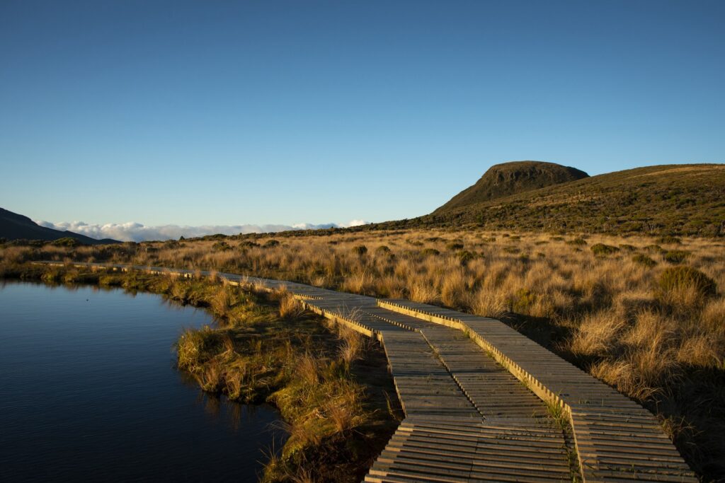 Parcs nationaux de Nouvelle-Zélande : 4 sites incontournables