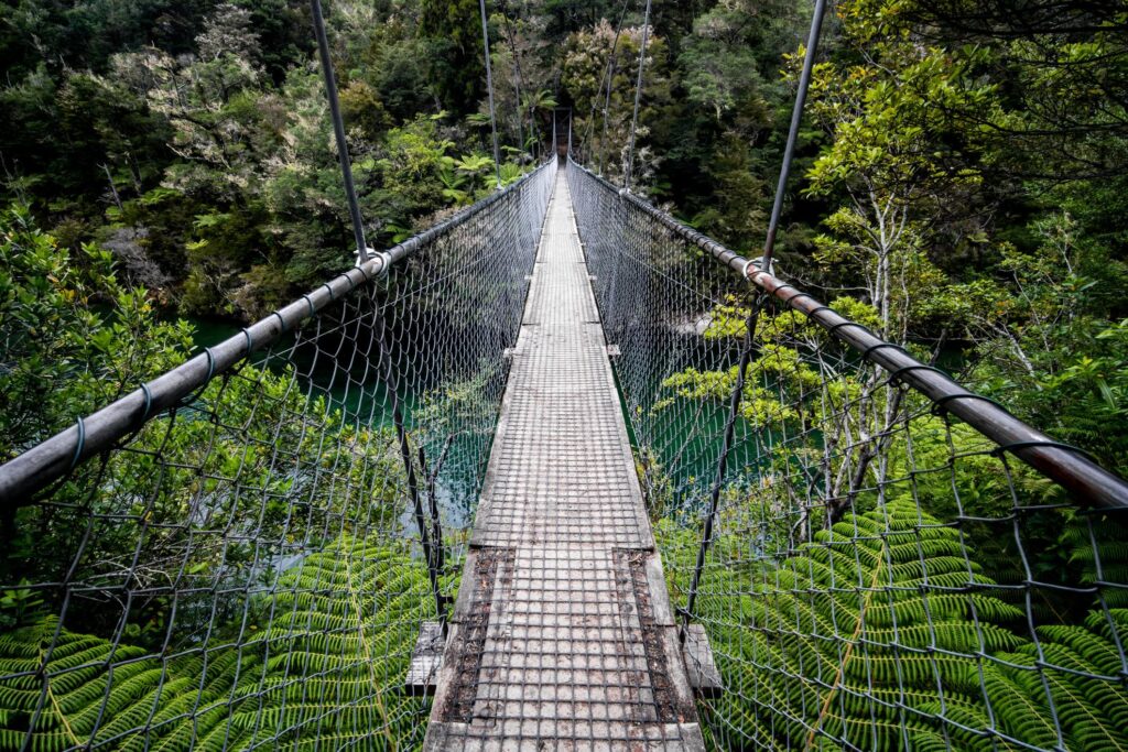 Parcs nationaux de Nouvelle-Zélande : 4 sites incontournables