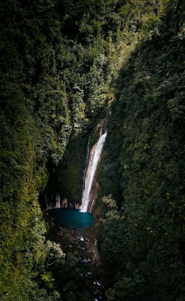 Costa Rica : découvrez un pays durable qui préserve sa biodiversité