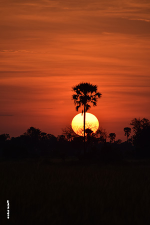 Coucher de soleil au Botswana