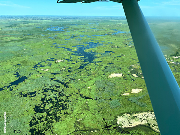 Vue aérienne sur le delta de l’Okavango au Botswana