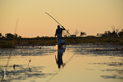 Safari sur l'eau au Botswana