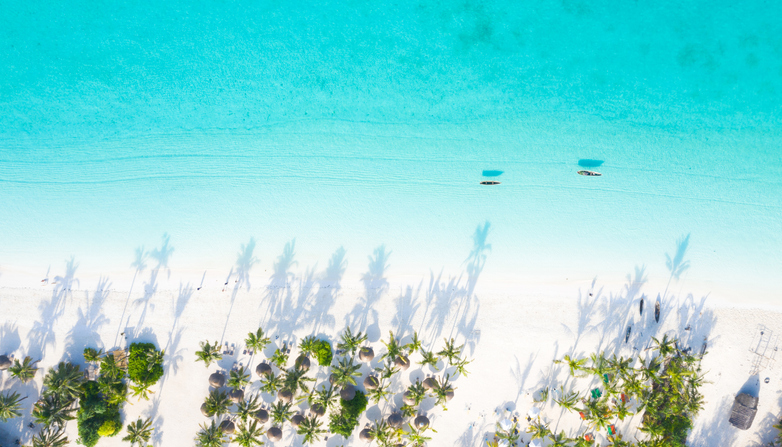 Plage de Zanzibar, Tanzanie.