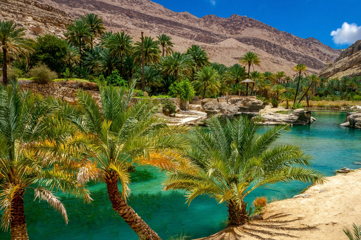 Oasis à Oman