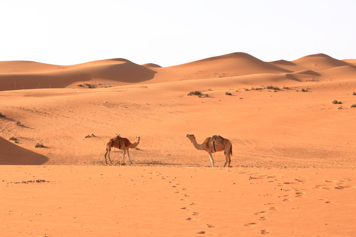 Desert, Oman