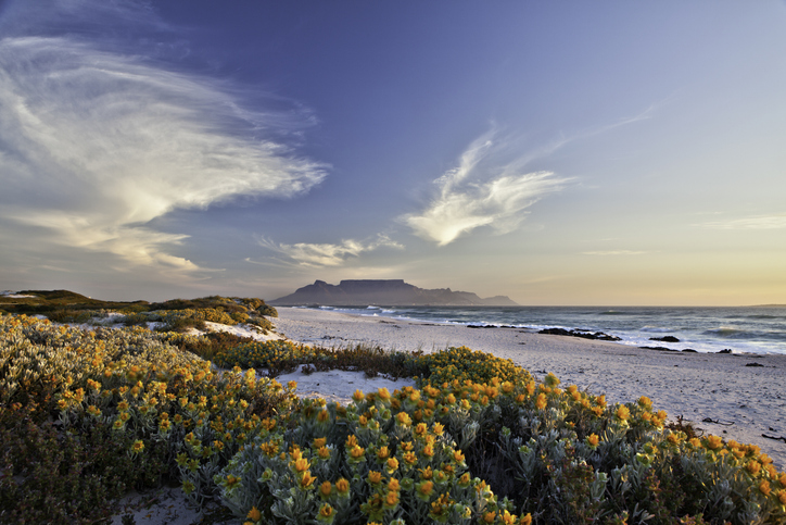 Vue panoramique sur Cape Town en Afrique du Sud