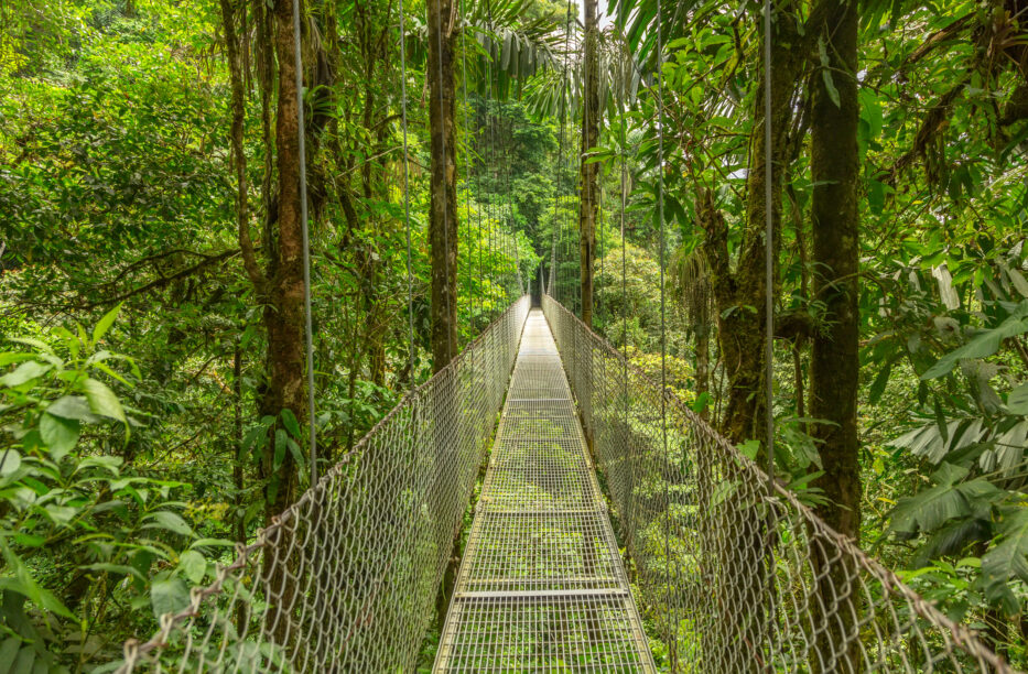 Costa Rica : découvrez un pays durable qui préserve sa biodiversité