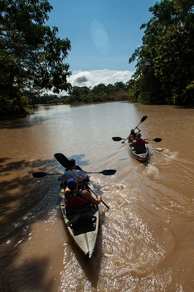 Immersion dans la forêt amazonienne 