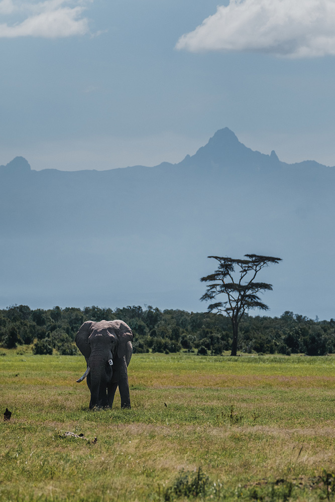 Découverte des paysages de Laikipia