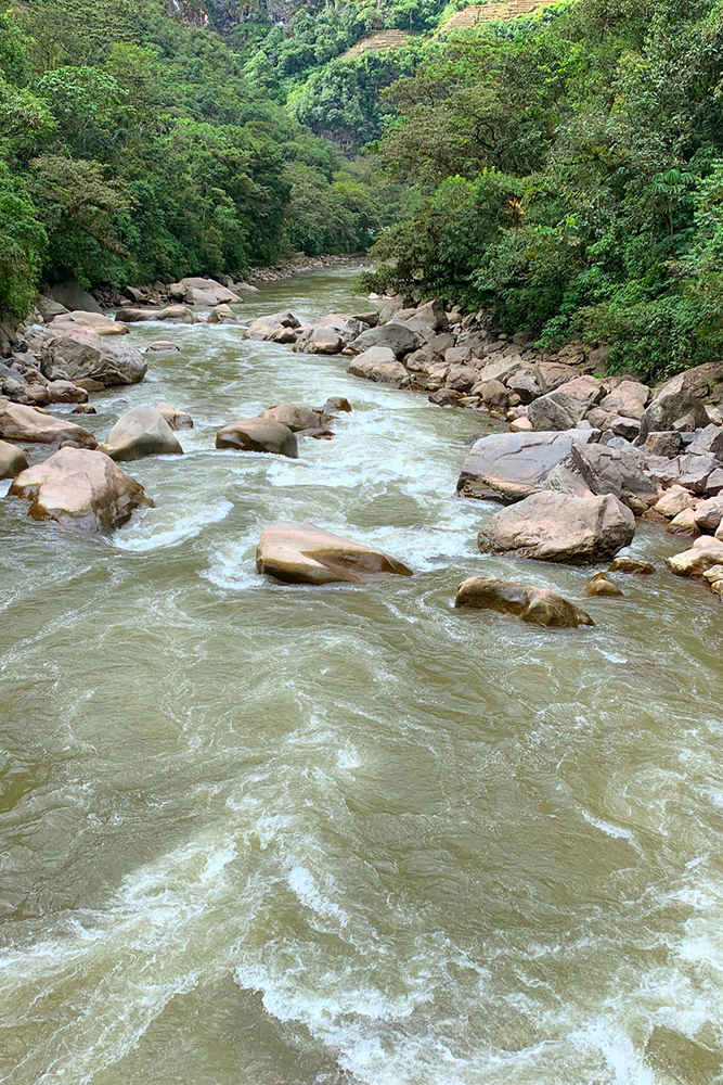 Découverte des environs d'Aguas Calientes