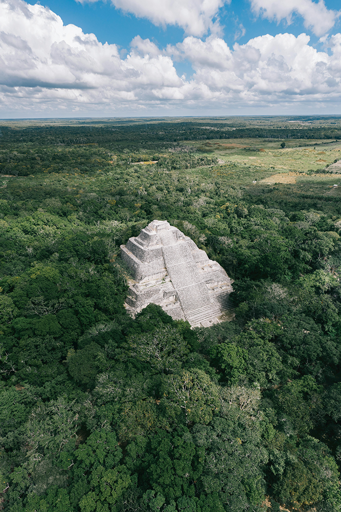 Vue aérienne sur le site de Calakmul au Mexique