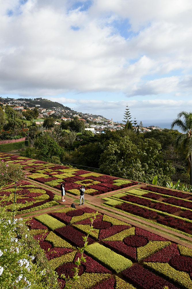 Visite de Funchal aux côtés d'un guide